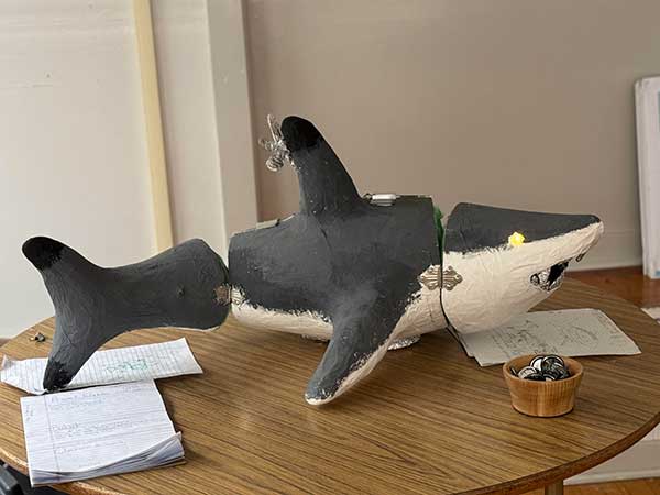 The Robosapiens' innovation project model shark